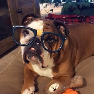 Meet your Posher, Tara